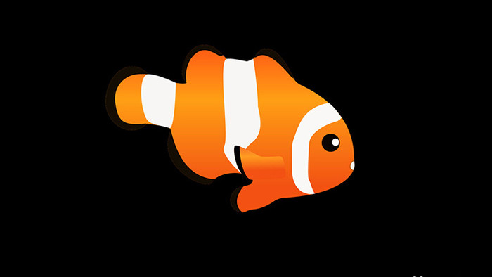 动物类小丑鱼清新可爱风扁平风素材MG动画