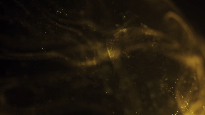 金色大气粒子缓慢运动3背景视频
