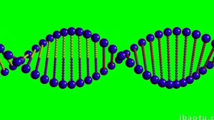 抠像视频dna细胞组织结构合成视频
