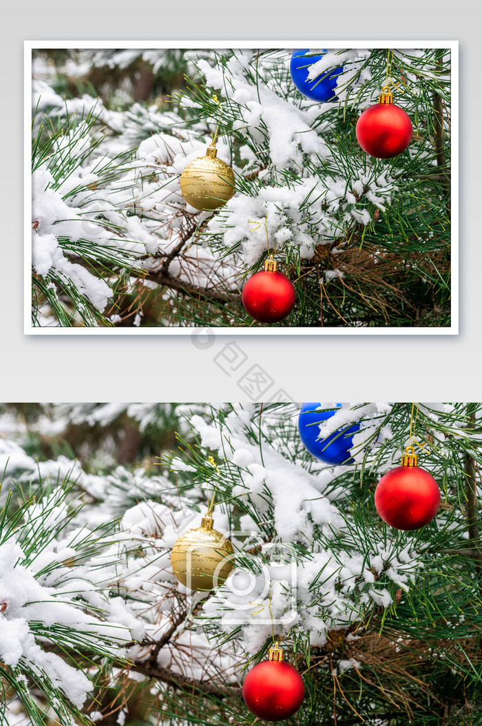 小雪大雪节气树枝上的圣诞球