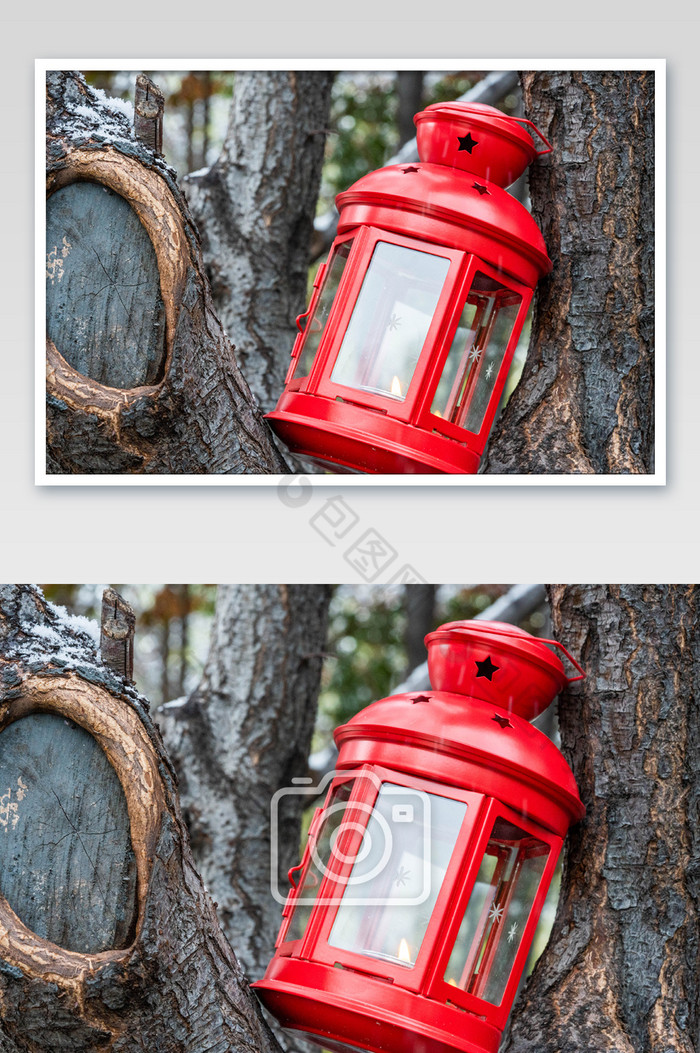 树干上的红色烛灯图片图片