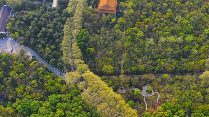 航拍南京中山陵风景区美龄宫项链大景