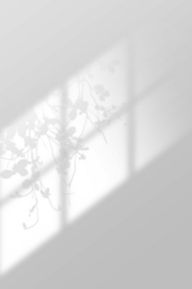 质感光效光影光斑窗户影图片