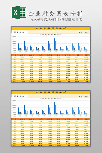 企业财务图表分析Excel模板图片