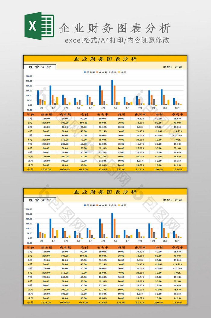 企业财务图表分析Excel模板