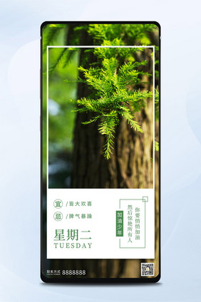 早安日签你好海报月初问候海报植物素材