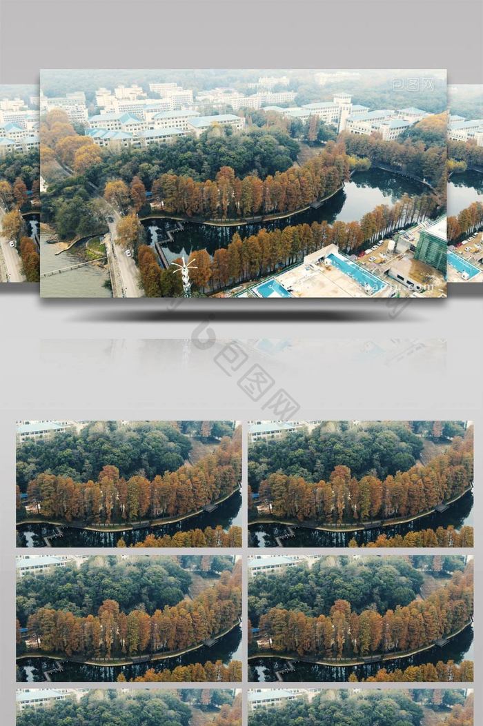 大气武汉大学东湖湖边景色实拍视频