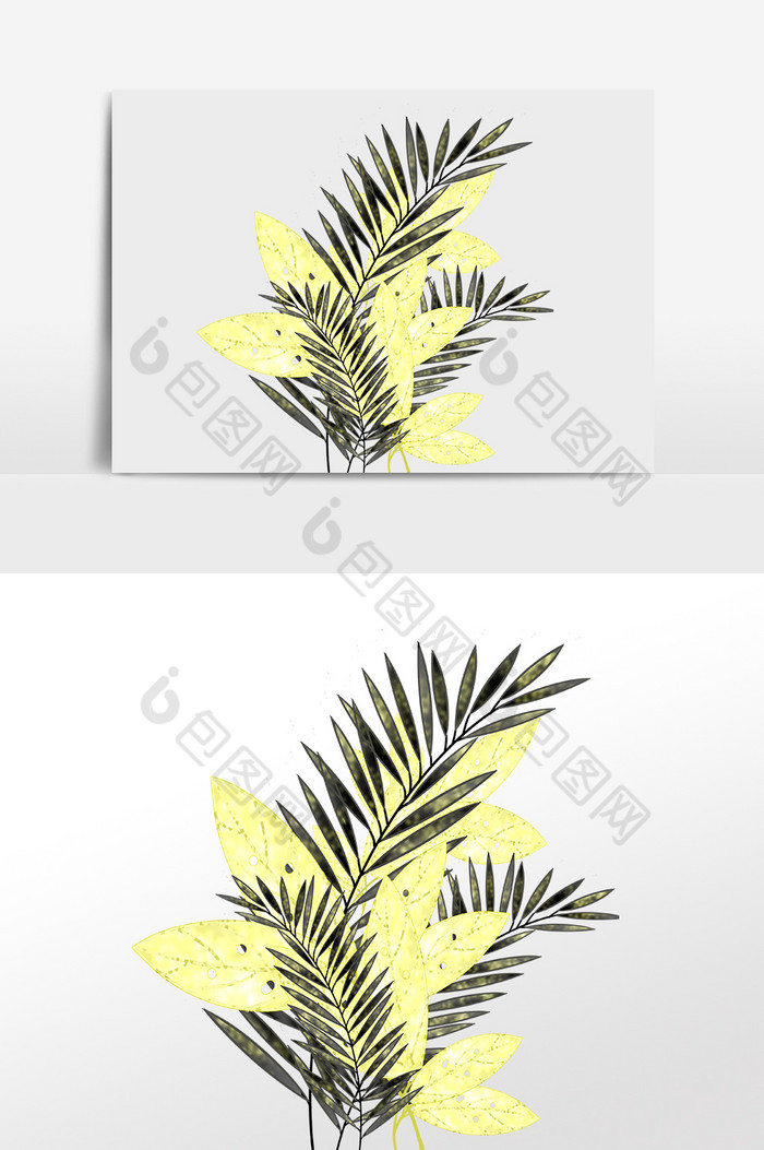 黑金热带植物树叶图片图片