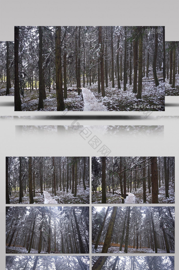 4K实拍冬季森林的雪景视频素材
