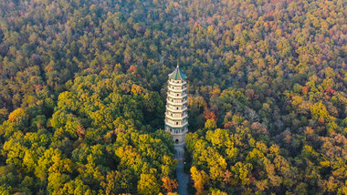 航拍南京灵谷寺风景区钟山林海灵谷塔