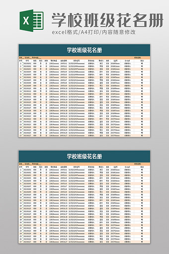 学校班级花名册excel模板图片