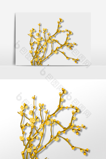 腊梅梅花寒梅黄梅图片