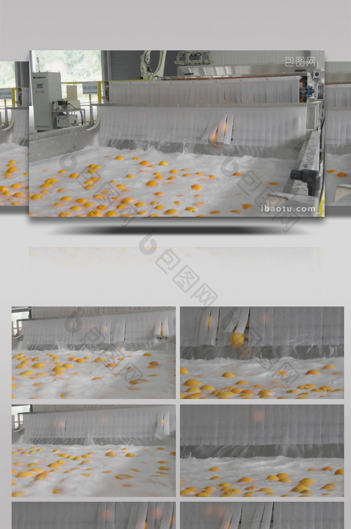 4K实拍橙子清洗加工生产线实拍视频素材