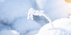 雪地风景合成摄影图背景