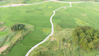 航拍乡村农业种植基地