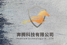 磨砂粗糙石材上的磨砂logo样机