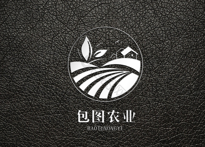 荔枝样机图片-荔枝样机素材免费下载-包图网