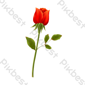 情人节玫瑰花爱你图片