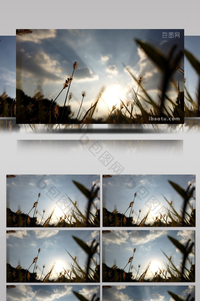 1080P高清植物前景天空延时摄影