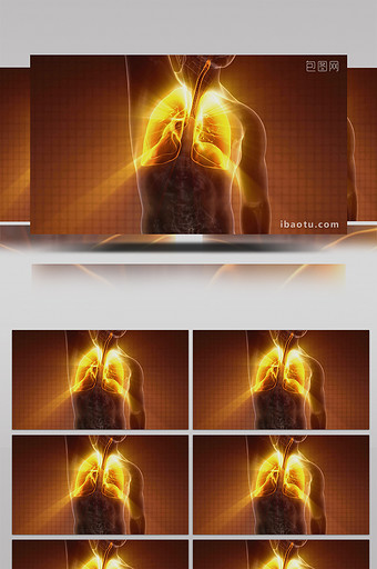 4K人体肺部医疗保健高清背景视频图片