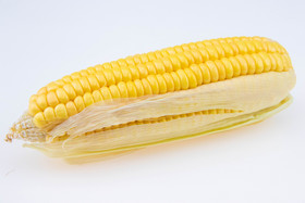 黄色玉米美食摄影图
