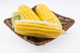 五谷杂粮玉米摄影图