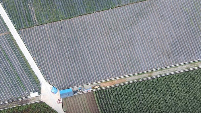 实拍规整的农田4K超清视频