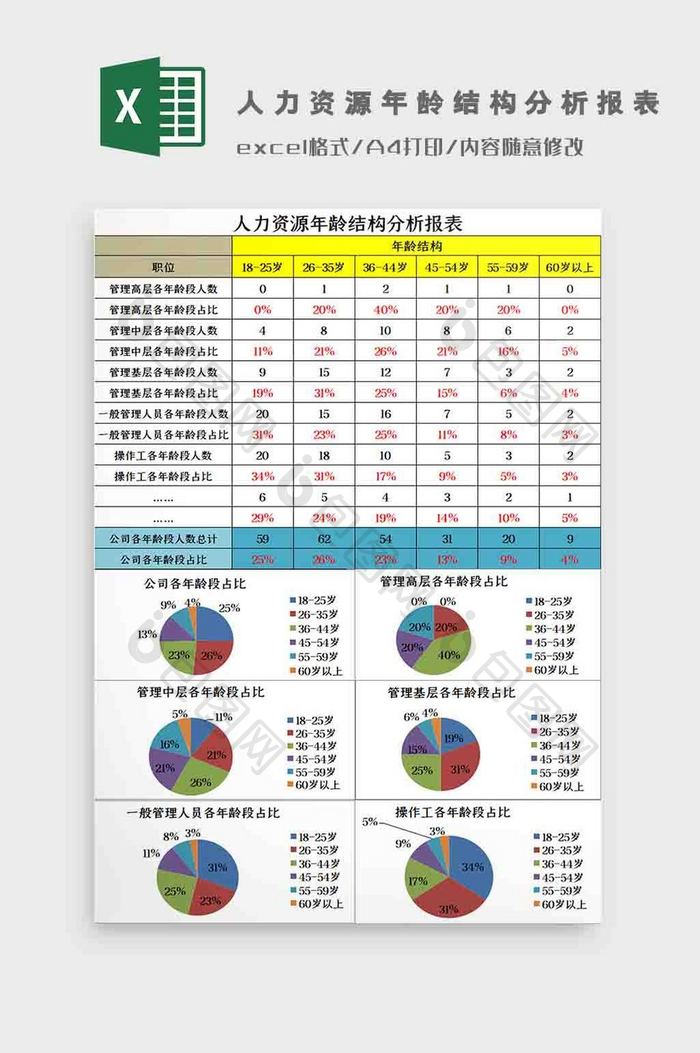 人力资源年龄结构分析报表Excel模板