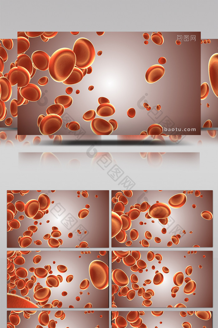 生物红细胞背景视频
