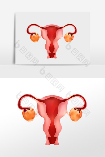 女性健康卵巢癌生殖器图片