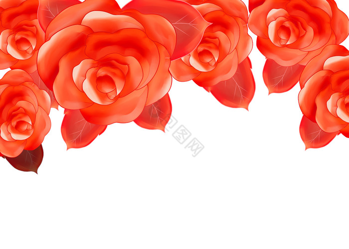 玫瑰花质感插画图片