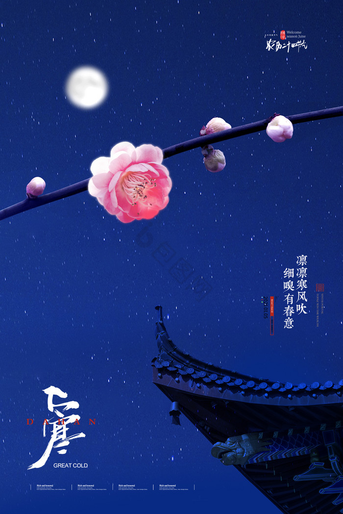 夜空梅花大寒图片