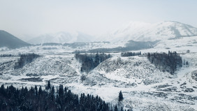 新疆喀纳斯冬天雪景森林童话世界