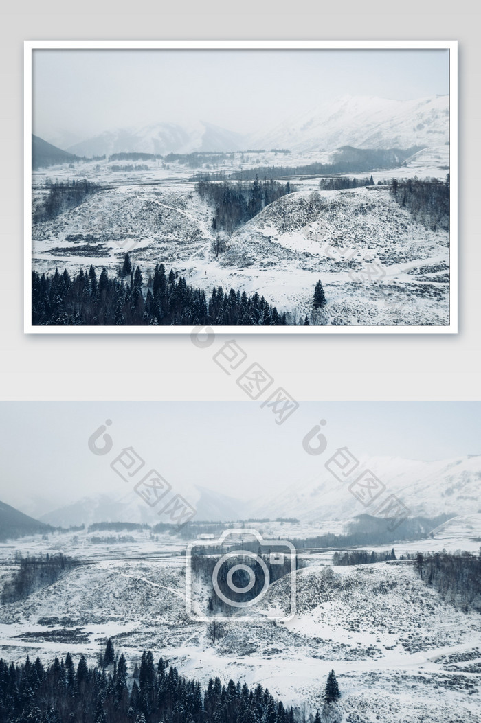 新疆喀纳斯冬天雪景森林童话世界