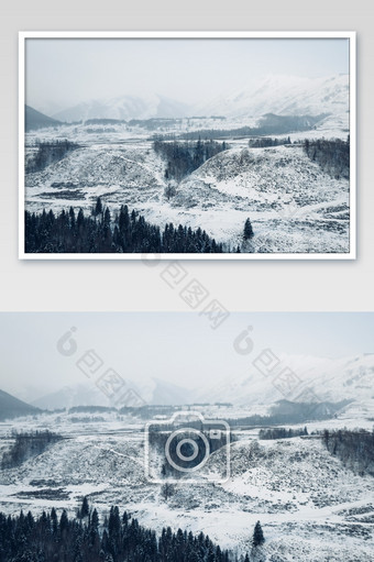 新疆喀纳斯冬天雪景森林童话世界图片