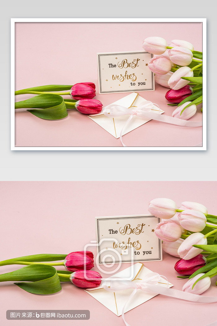 郁金香鲜花花枝摄影图,包图网,图片,素材,模板,免费