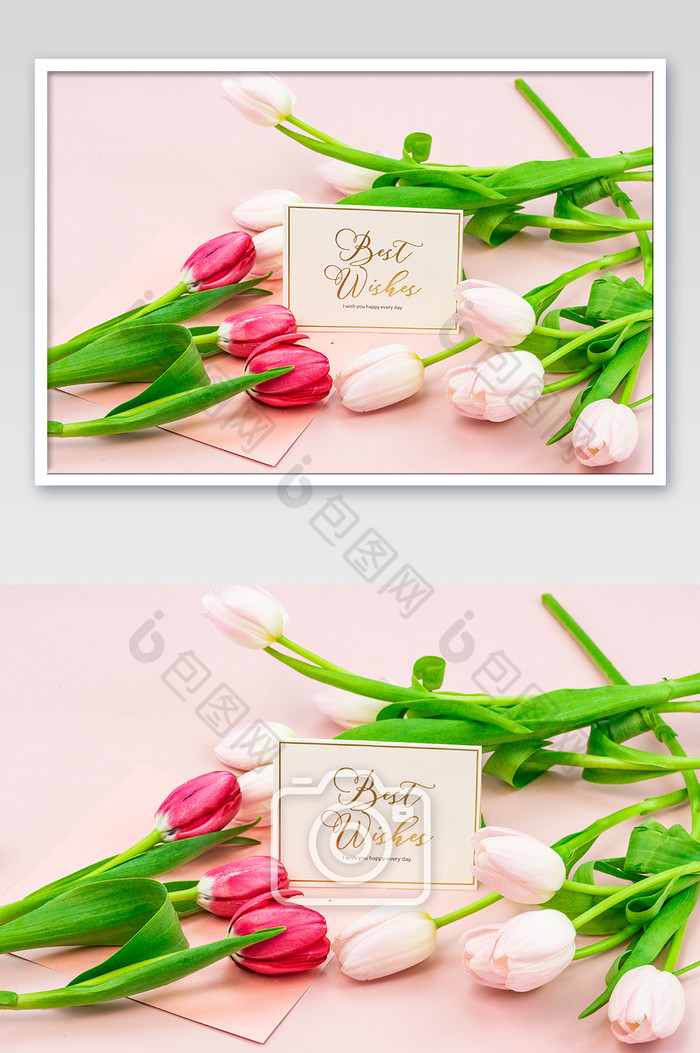 郁金香鲜花和卡片图片图片
