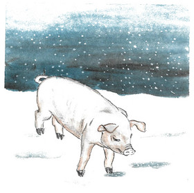 水墨动物猪插画