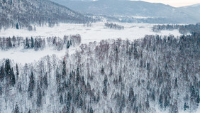 新疆喀纳斯冬天雪景童话森林