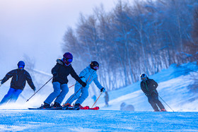 冬季一群滑雪的人在玩滑雪