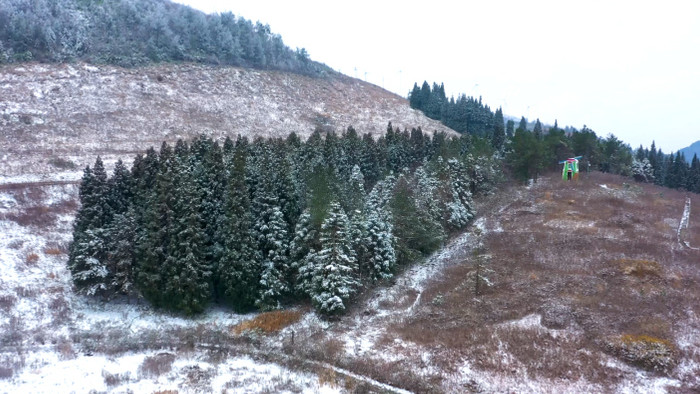 4K航拍冬季冰雪覆盖的岐山草场白色松树