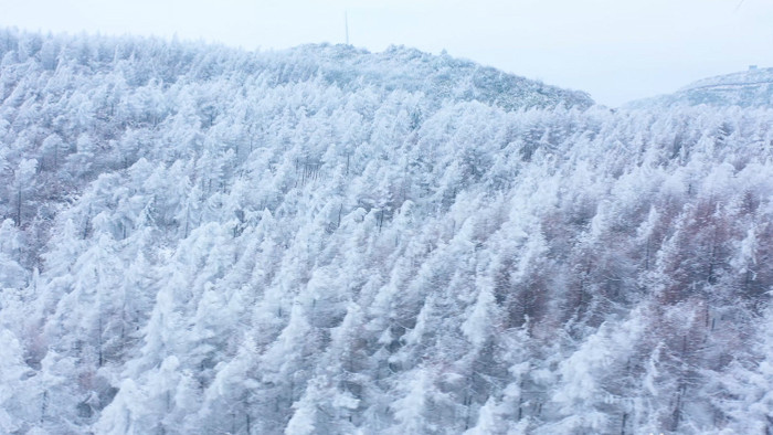 4K航拍冬季旅游大气雪山森林千里冰封雪景