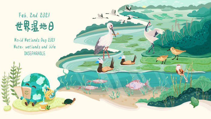 湿地保护河流湖泊地球生态自然环境鸟类插画