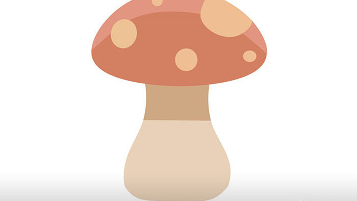 简单扁平画风食物类蔬菜类蘑菇mg动画