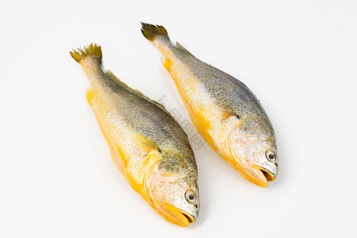 海鲜水产大黄花鱼图片