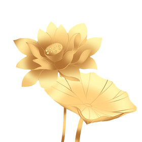 荷花荷叶金色莲花