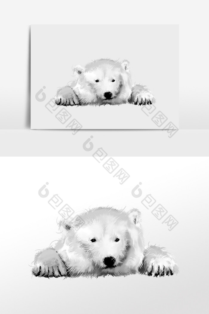 野生动物北极冰川熊