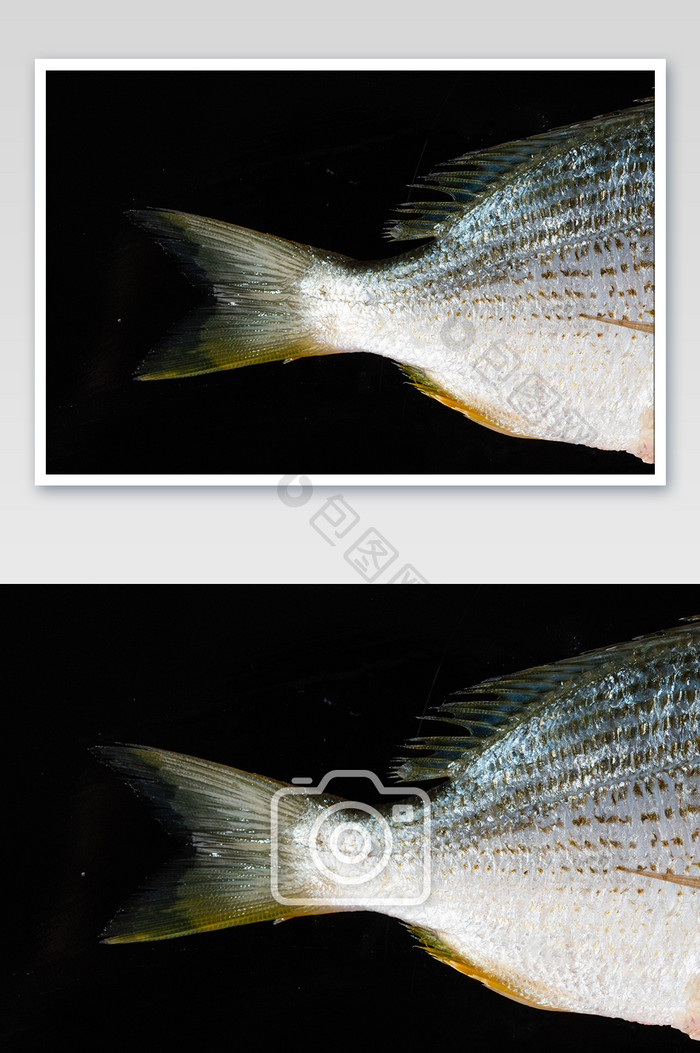 班头鱼鱼尾食材摄影图