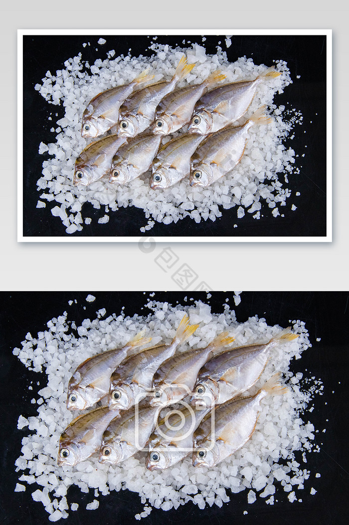 油叶鱼水产食材摄影图图片图片