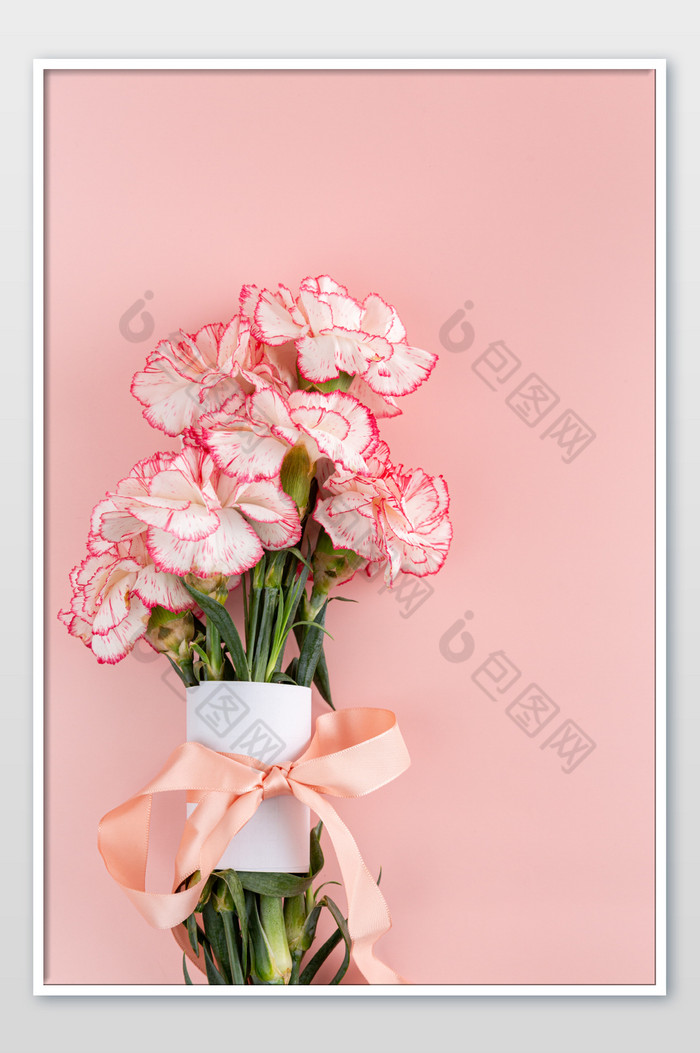 三八妇女节康乃馨花束图片图片